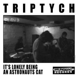 It’s Lonely Being an Astronauts Cat