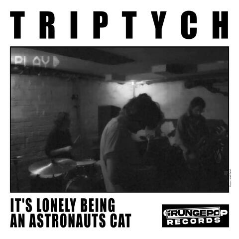 It’s Lonely Being an Astronauts Cat