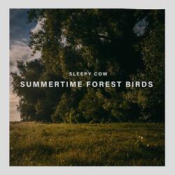 Summertime Forest Birds