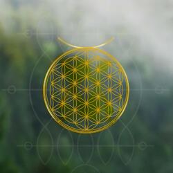 Morning Meditation / Positive Aura Cleanse