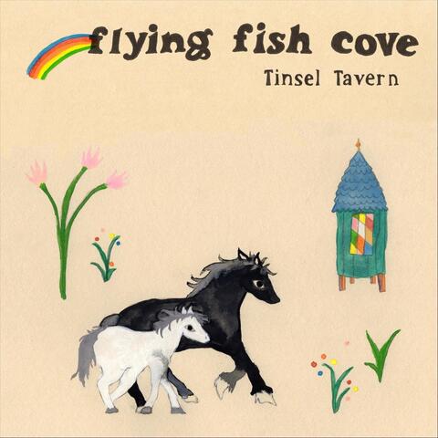 Flying Fish Cove