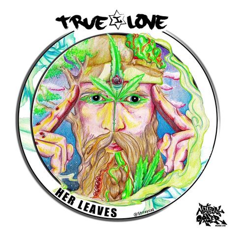 Her Leaves