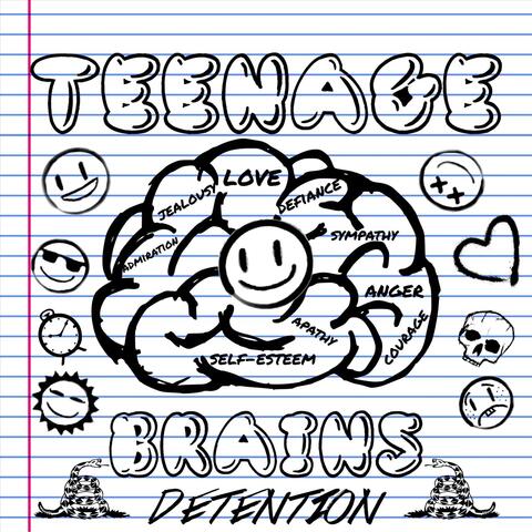 Teenage Brains
