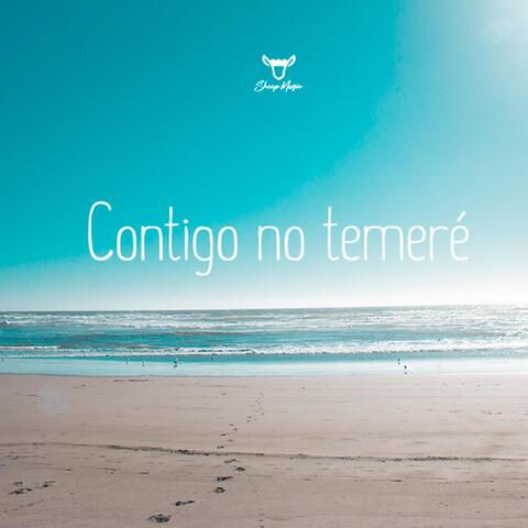 Contigo No Temeré