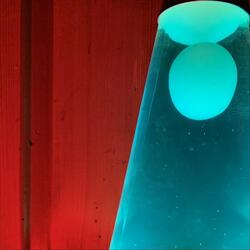 Something Shook Loose