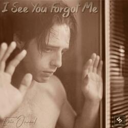 I See You Forgot Me (Danny Demosi Remix)