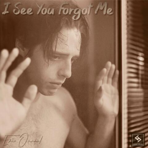 I See You Forgot Me (Danny Demosi Remix)