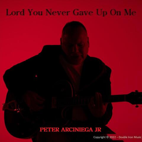 Lord You Never Gave up on Me