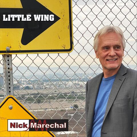 Little Wing
