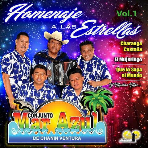 Homenaje a las Estrellas Vol. 1