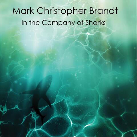 In the Company of Sharks