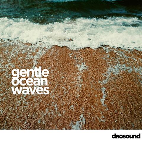 Gentle Ocean Waves