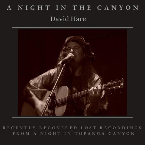 A Night in the Canyon