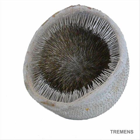 Tremens