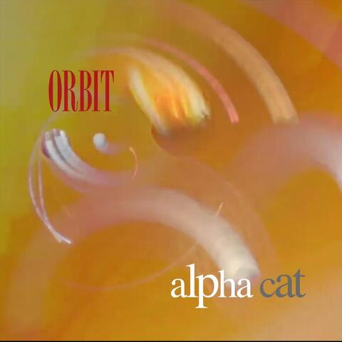 Orbit