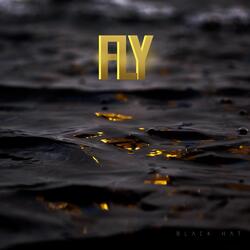 Fly