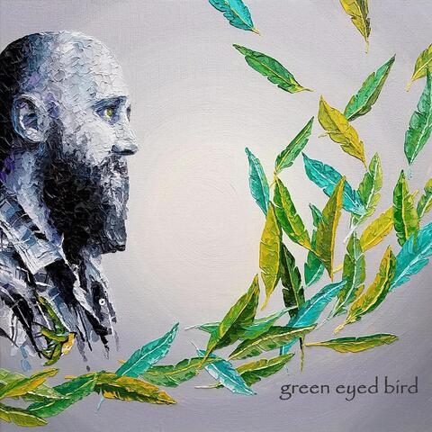 Green Eyed Bird