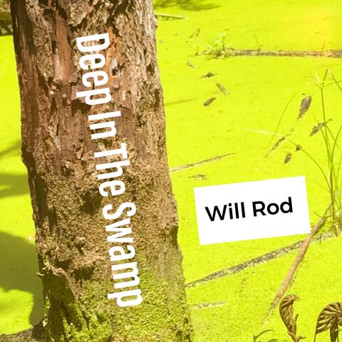 Deep in the Swamp