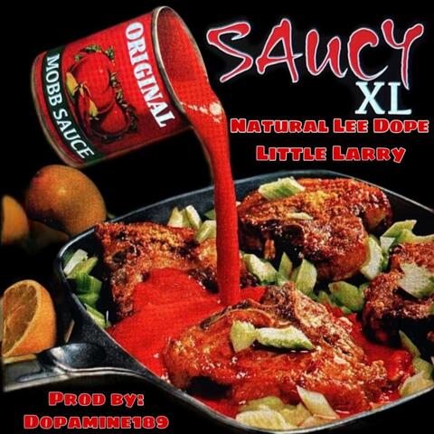 Saucy XL (feat. Little Larry)