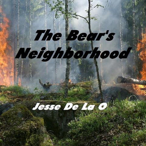 The Bear's Neighborhood
