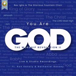 Holy Spirit Take Over (Extended) [Live] [feat. Nathaniel Bassey]