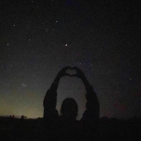 Will You Be My Light Switch (feat. Puneet Singh)