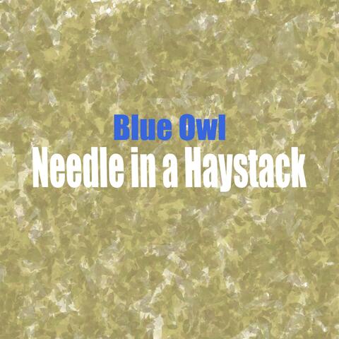 Needle in a Haystack