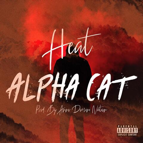 Heat