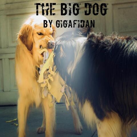 The Big Dog