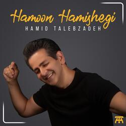 Hamoon Hamishegi