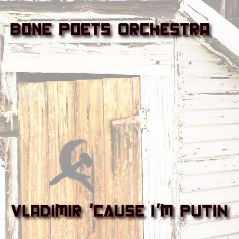 Vladimir 'cause I'm Putin