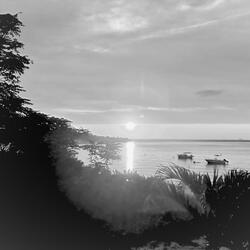 Pockets of Sunlight