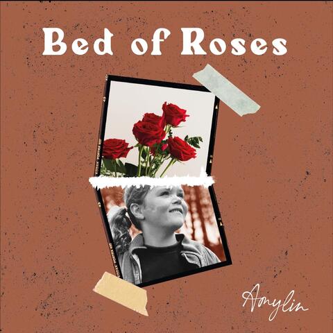 Bed of Roses