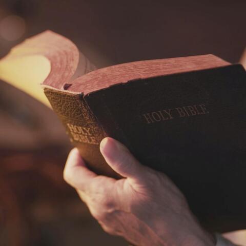 In That Bible of Mercy