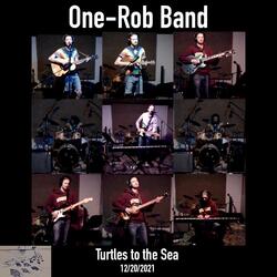Turtles to the Sea (Livestreamed 12/20/21)