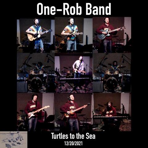 Turtles to the Sea (Livestreamed 12/20/21)