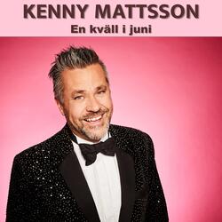En kväll i juni (Karaoke Version)
