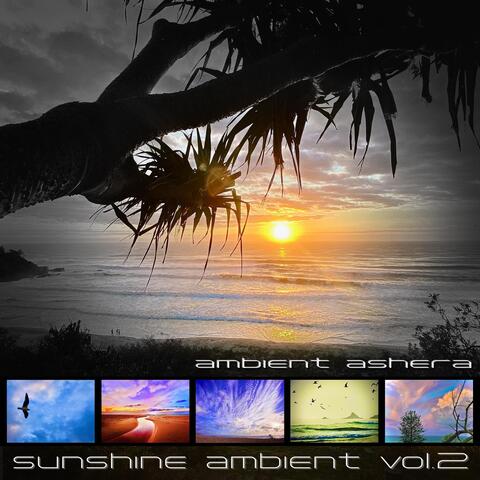 Sunshine Ambient, Vol. 2
