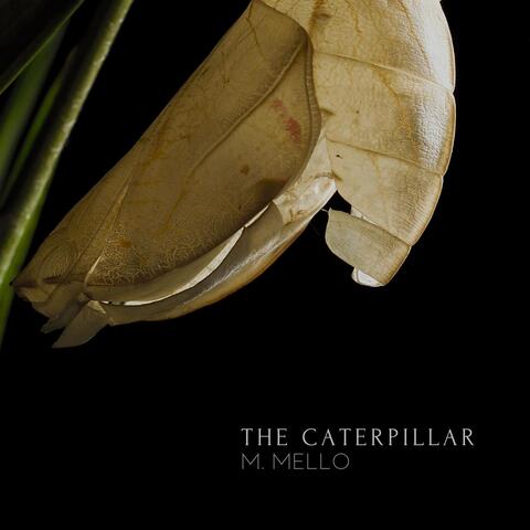 The Caterpillar