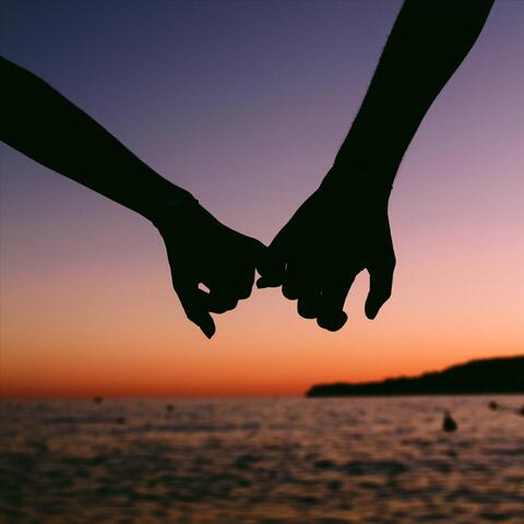 Stay the Night