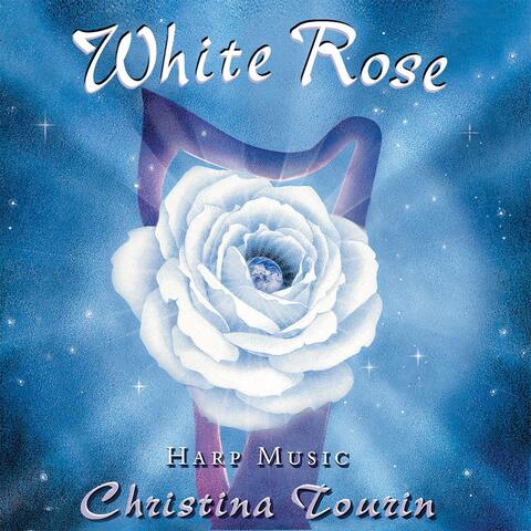 White Rose