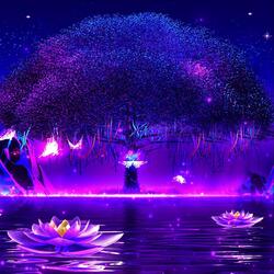 Soothing Magical Sleep Music