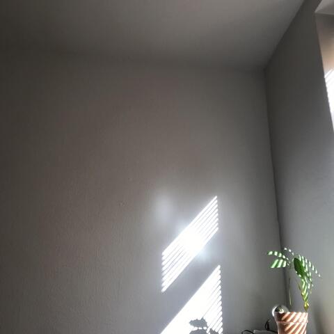 Rmxs 1