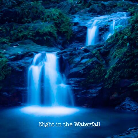 Night in the Waterfall
