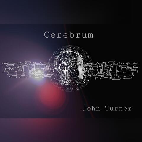 Cerebrum