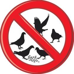 Audible Bird Scarer: Control Unwanted Birds Such as Pigeons, Starlings, Doves, Crows, Rooks, Magpies, Seagulls a Humane Method of Dispersing Birds Using Tactical Sounds from Predator Bird Calls Including Hawks, Eagles, And Buzzards