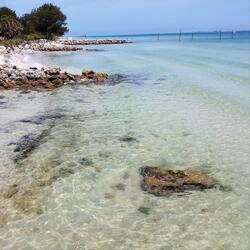 Island Paradise
