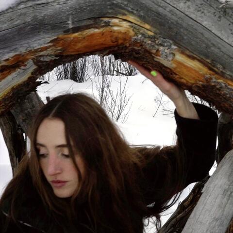 Shades of Forest