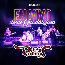 Amiga Soledad (En Vivo)