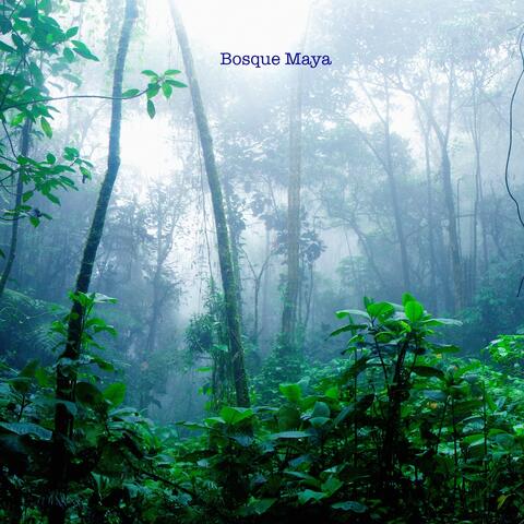 Bosque Maya